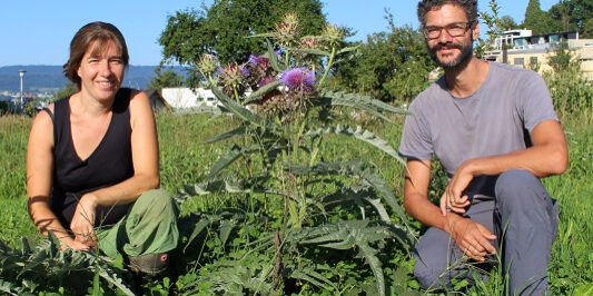 img-5d78972a511e5f22e223184e