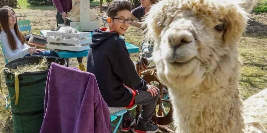 img-5d5d2bafef1a8f000126f00f