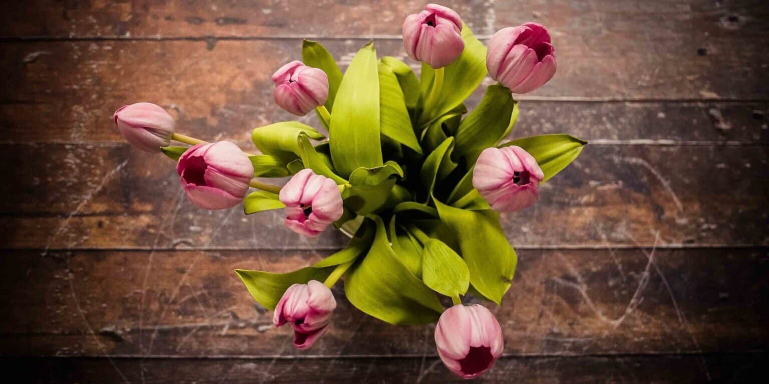 img-5cc6bbc853450a6d53f0f1ac