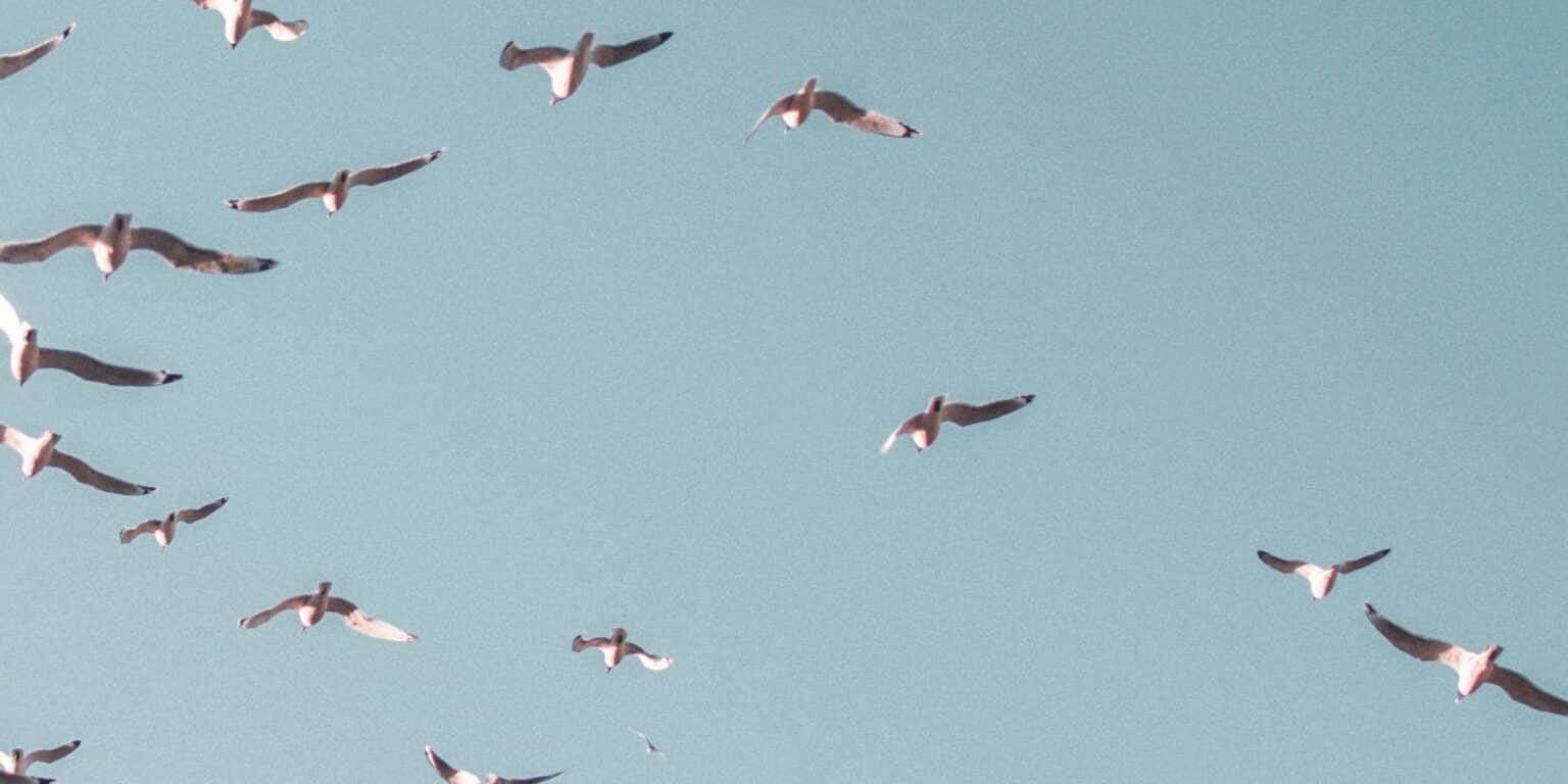 img-5d41ab6f0a2c500001c4f8cf